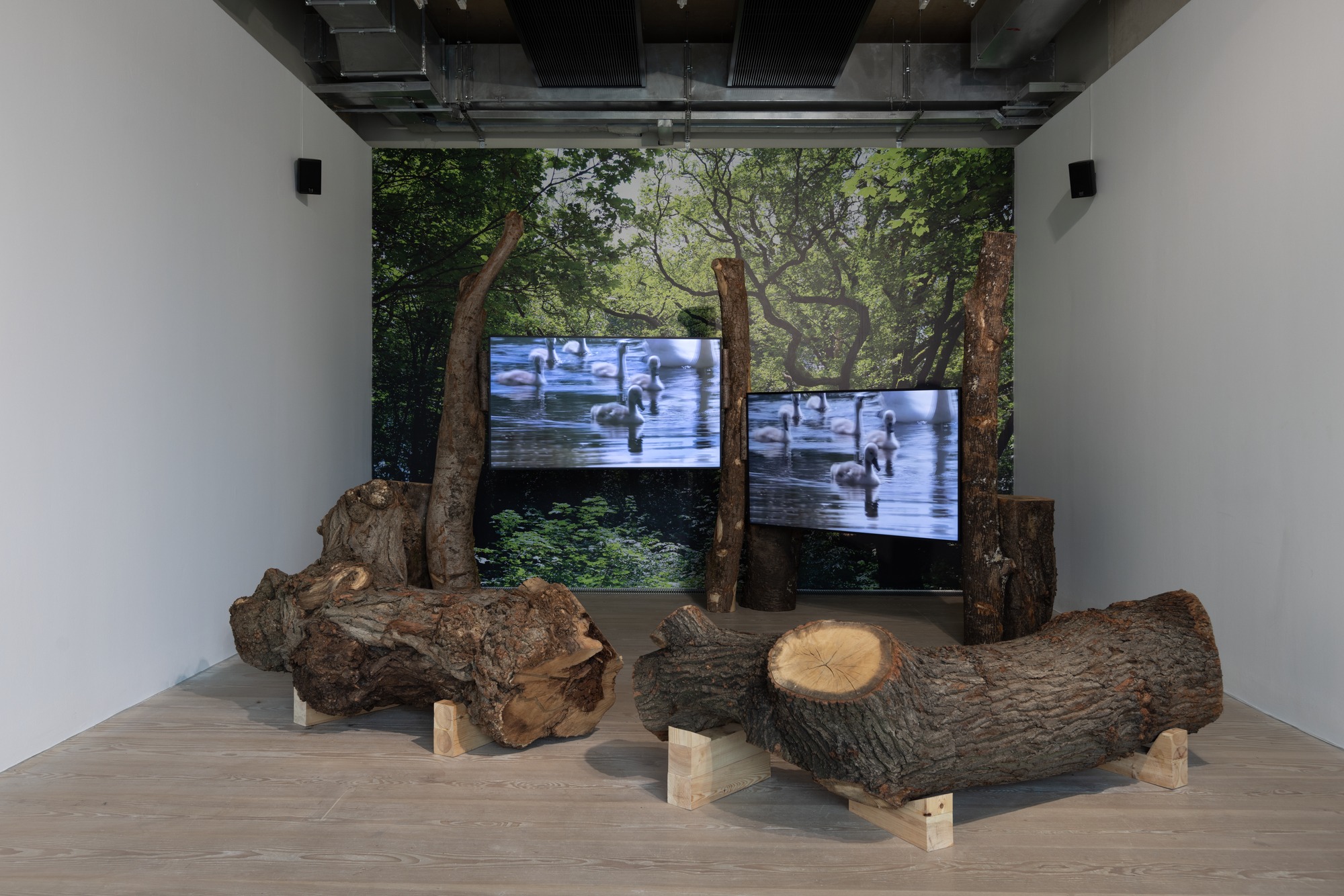 And these deceitful waters, Adham Faramawy, Focal Point Gallery, Southend-on-Sea, 2024