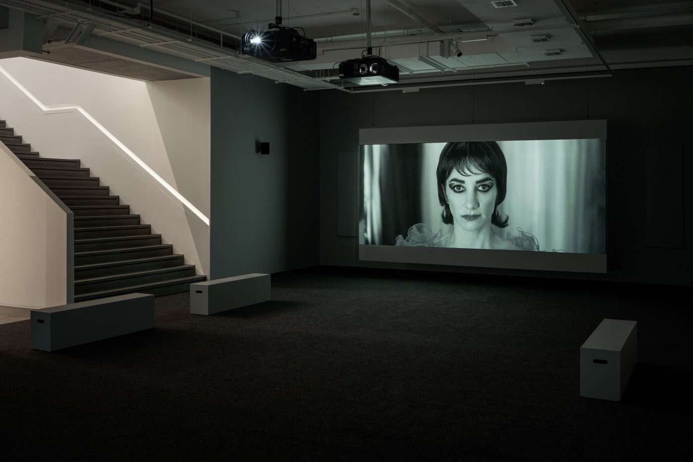 The Fury, Shirin Neshat, Goodman Gallery, London, 2023